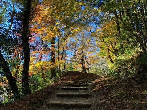 龍脈 日本|【風水】龍穴ってなに？日本のスポット・神社や見つ。